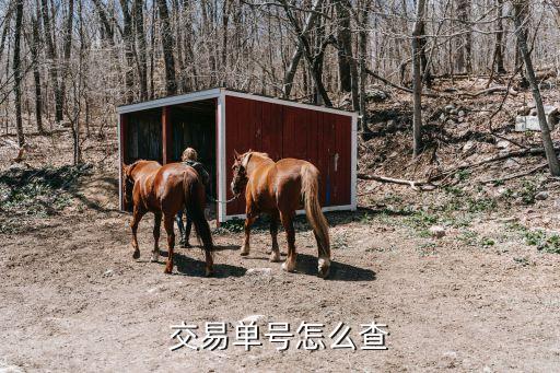 交易單號(hào)查詢，交易單號(hào)怎么查