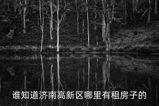 誰知道濟(jì)南高新區(qū)哪里有租房子的