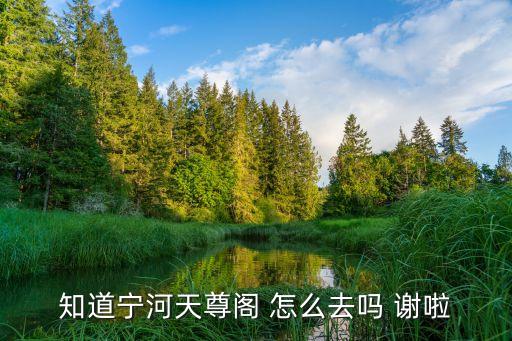 天尊閣，知道寧河天尊閣 怎么去嗎 謝啦