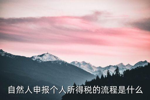 自然人申報(bào)個(gè)人所得稅的流程是什么