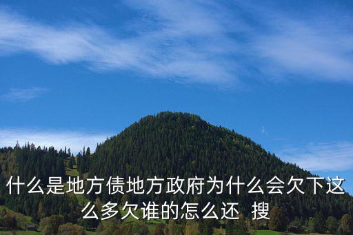 地方政府債務(wù)，地方政府債務(wù)債權(quán)人是誰(shuí)