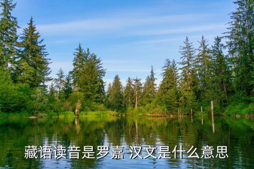 羅嘉，羅嘉是做什么的什么職業(yè)年齡多大具體一點(diǎn)百度貼吧男神吧那