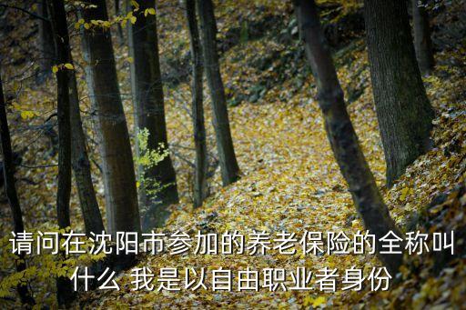 請問在沈陽市參加的養(yǎng)老保險(xiǎn)的全稱叫什么 我是以自由職業(yè)者身份