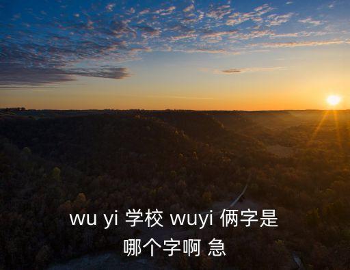 wu yi 學(xué)校 wuyi 倆字是哪個(gè)字啊 急