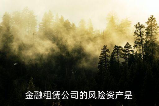 風(fēng)險資產(chǎn)，金融租賃公司的風(fēng)險資產(chǎn)是