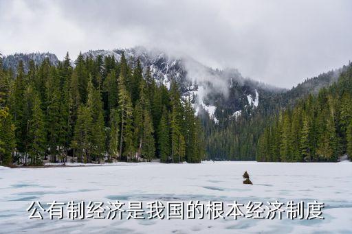 公有制經(jīng)濟是我國的根本經(jīng)濟制度