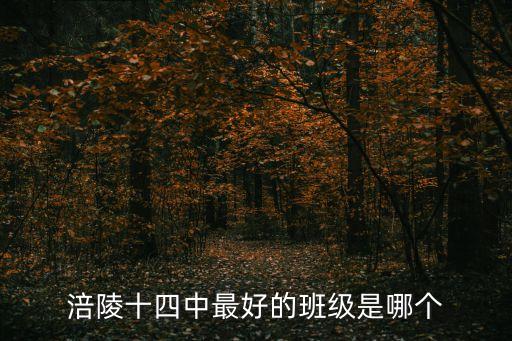 陳元平，涪陵十四中最好的班級(jí)是哪個(gè)