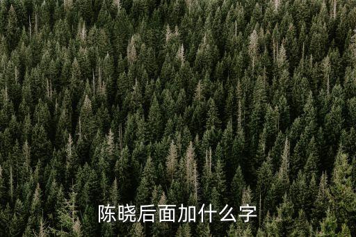 陳曉后面加什么字