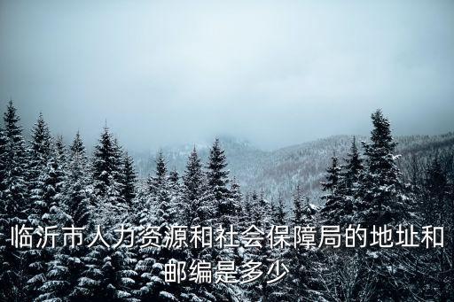 臨沂市醫(yī)保局，臨沂市人力資源和社會保障局地址和電話