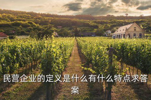 民間企業(yè)，民營企業(yè)是指哪些企業(yè)