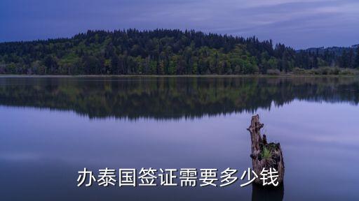去泰國簽證多少錢，辦泰國簽證需要多少錢