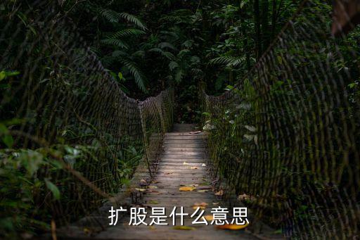 擴(kuò)股是什么意思