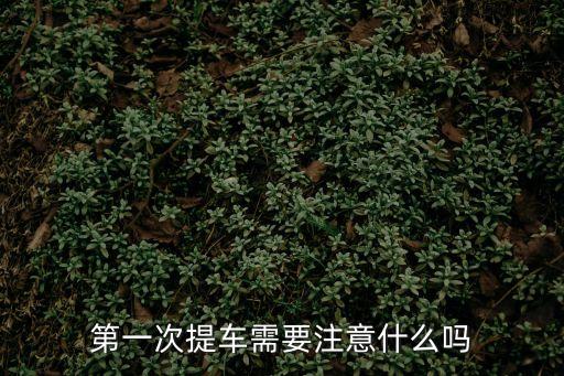 提新車，提車時需要注意哪些事