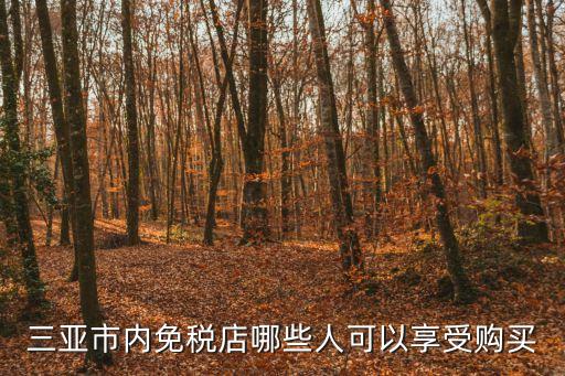 海南免稅政策，三亞市內(nèi)免稅店哪些人可以享受購(gòu)買