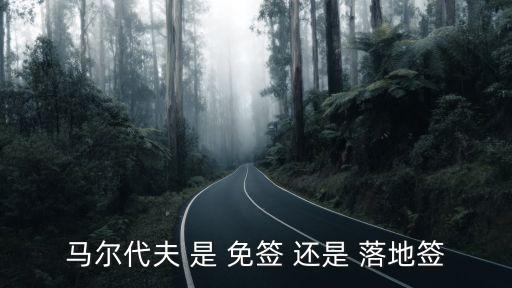 馬爾代夫免簽嗎，中國(guó)人去馬爾代夫是免簽證的嗎