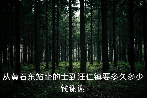 汪仁鎮(zhèn)，黃石市汪仁鎮(zhèn)在哪