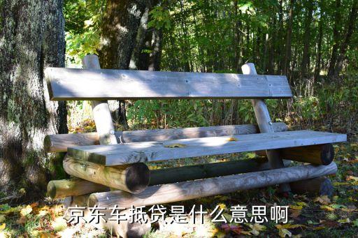 車(chē)抵貸，車(chē)抵押貸款