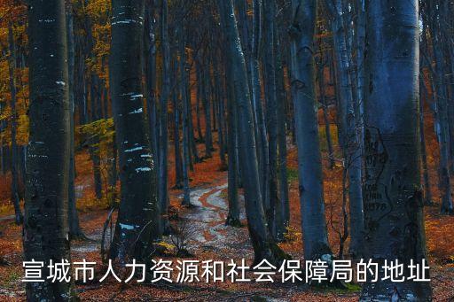 宣城市人力資源和社會保障局的地址
