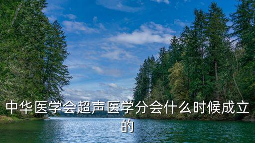 王新房，中華醫(yī)學(xué)會(huì)超聲醫(yī)學(xué)分會(huì)什么時(shí)候成立的