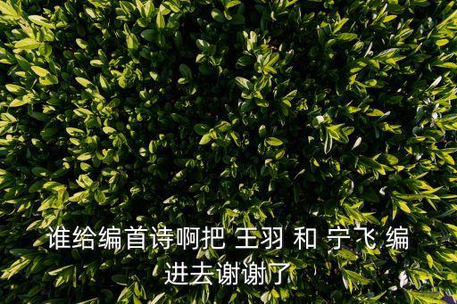 誰給編首詩啊把 王羽 和 寧飛 編進(jìn)去謝謝了