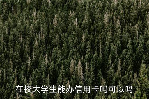 大學(xué)生可以辦信用卡嗎，在校大學(xué)生能辦信用卡嗎可以嗎