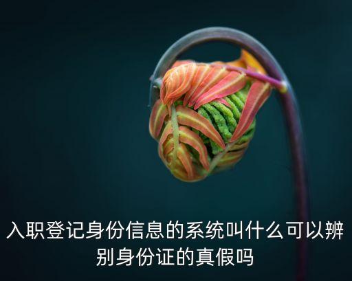 入職登記身份信息的系統(tǒng)叫什么可以辨別身份證的真假嗎