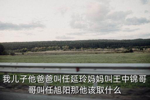 任旭陽(yáng)，買(mǎi)單俠是合法的公司嗎