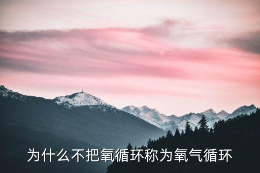 氧循環(huán)，寫出一條氧循環(huán)