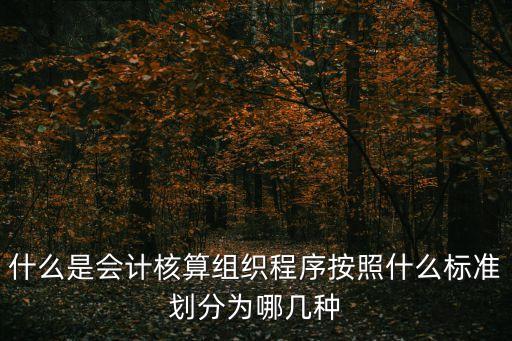什么是會計核算組織程序按照什么標準劃分為哪幾種