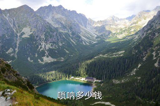 學吹嗩吶學費多少錢，天津音樂學院學嗩吶專業(yè)幾年畢業(yè)完了分配工作么還有一年學費住宿