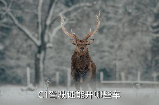 c1證，駕駛證C證可以開什么車
