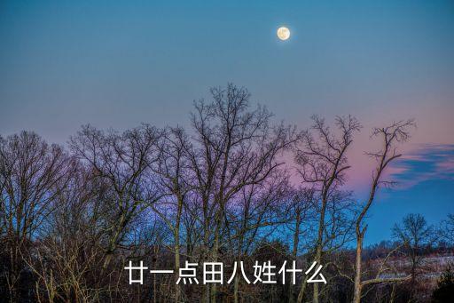 田立，現(xiàn)在使用的水田可不可以由田立私自買賣