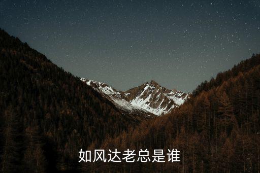 如風達老總是誰