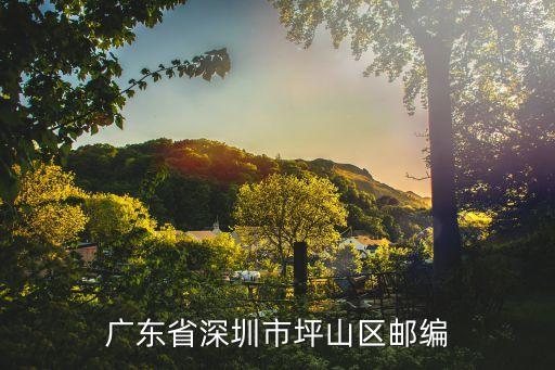 廣東省深圳市坪山區(qū)郵編