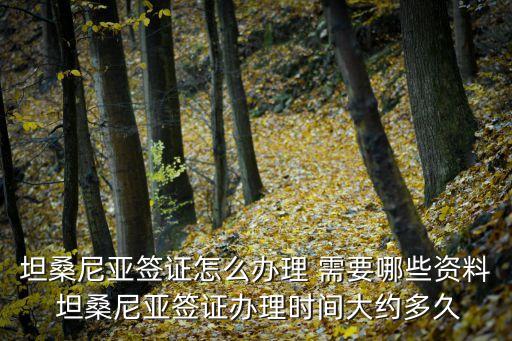 坦桑尼亞簽證怎么辦理 需要哪些資料 坦桑尼亞簽證辦理時間大約多久