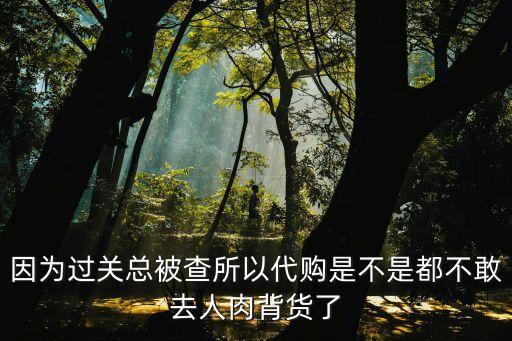 因?yàn)檫^(guò)關(guān)總被查所以代購(gòu)是不是都不敢去人肉背貨了