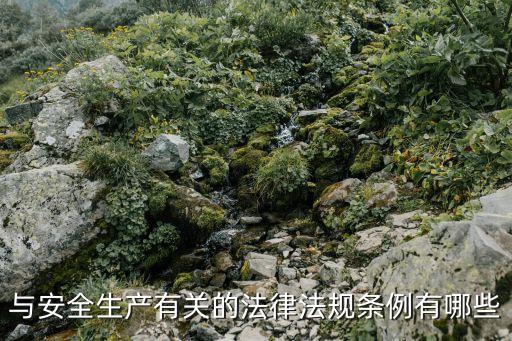 與安全生產有關的法律法規(guī)條例有哪些