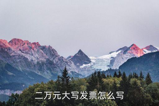 二萬元大寫發(fā)票怎么寫