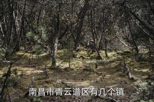 南昌市青云譜區(qū)，南昌市青云譜區(qū)有幾個鎮(zhèn)