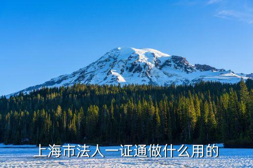 上海市法人一證通做什么用的