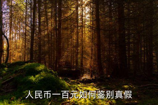 一百人民幣，人民幣一百元如何鑒別真假