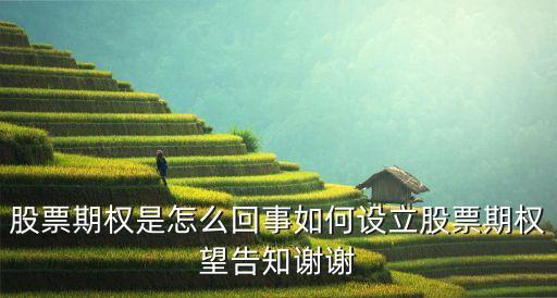 股票期權(quán)是怎么回事如何設(shè)立股票期權(quán)望告知謝謝