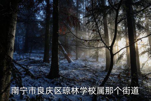 南寧市良慶區(qū)瓊林學校屬那個街道