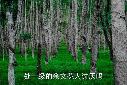余文，左邊一個(gè)余右邊一個(gè)文讀什么字