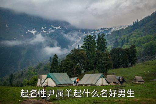 起名性尹屬羊起什么名好男生