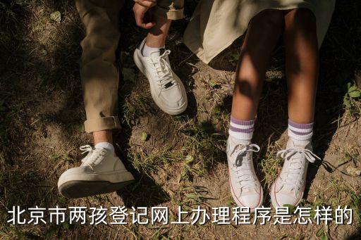 北京市兩孩登記網(wǎng)上辦理程序是怎樣的