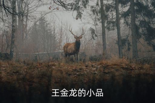 王金龍的小品