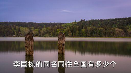 李國棟的同名同性全國有多少個