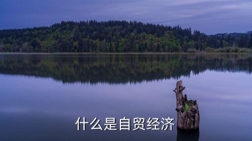 自貿(mào)，什么是自貿(mào)經(jīng)濟