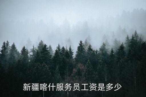 新疆喀什服務員工資是多少